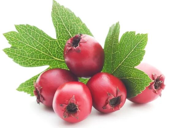 Cardiol with Hawthorn Berry Extract