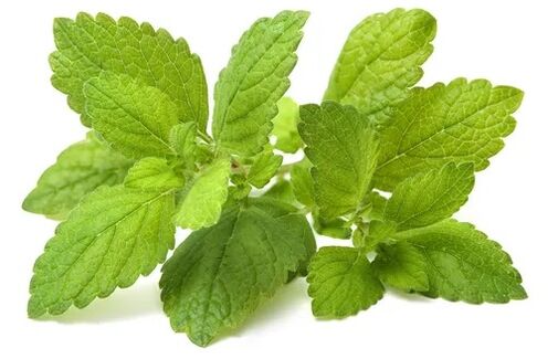 Cardiol with Lemon Balm